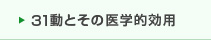 31動とその医学的効用