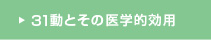 31動とその医学的効用